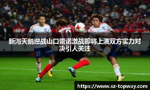 新泻天鹅迎战山口雷诺激战即将上演双方实力对决引人关注